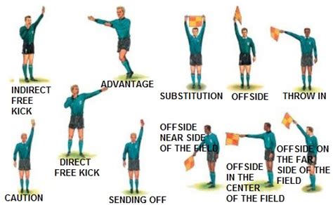 what does referee mean.